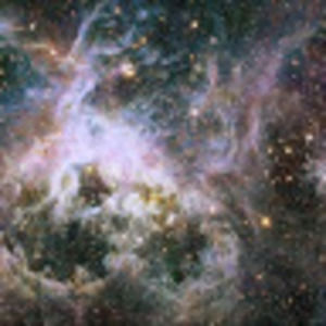 Meet your Posher, Sanjee